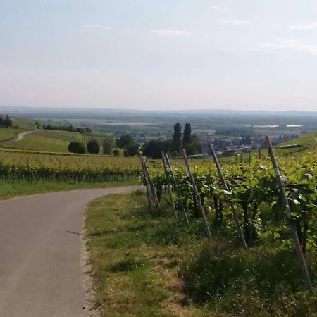 Op De Sonnberg - Sauna Vakantiehuis Auggen