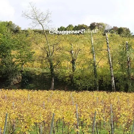 Op De Sonnberg - Sauna Auggen
