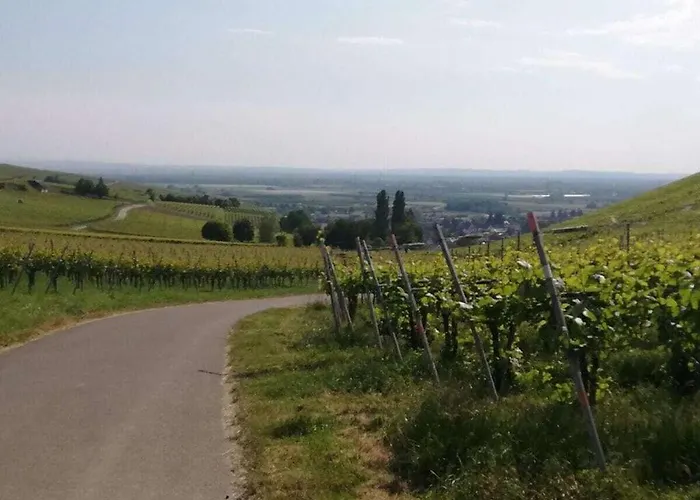 Op De Sonnberg - Sauna Dom wakacyjny Auggen