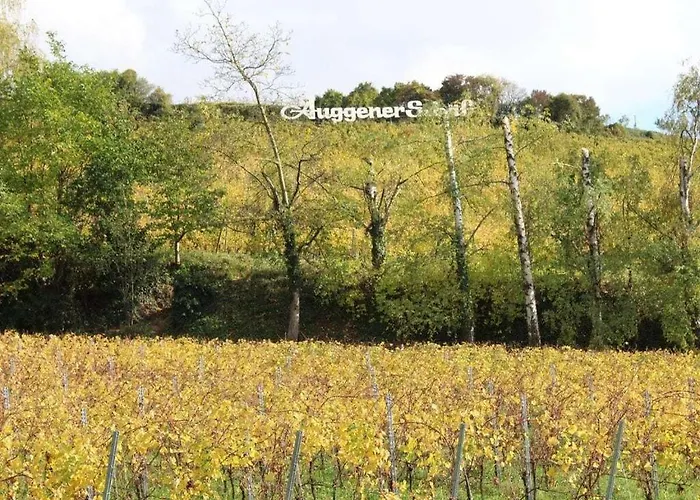 Op De Sonnberg - Sauna Auggen